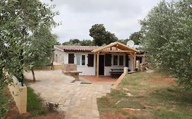 Holiday Houses Marta